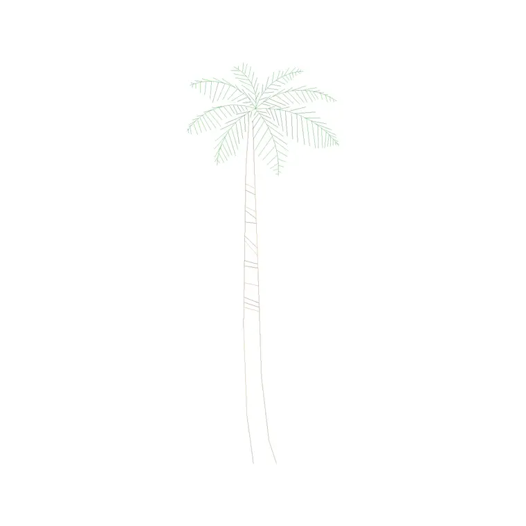 Palm Tree Front Ele (11) DWG CAD block thumbnail — trees & plants drawing