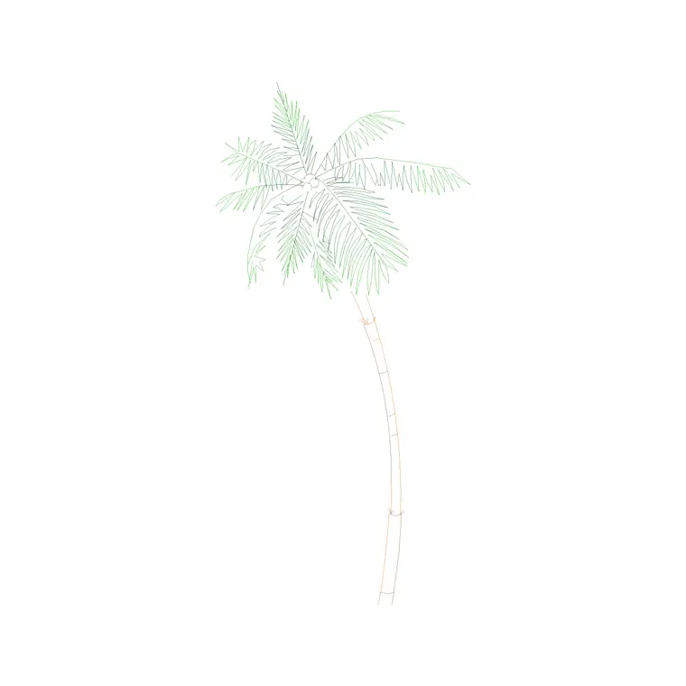 Palm Tree Front Ele (12) DWG CAD block thumbnail — trees & plants drawing
