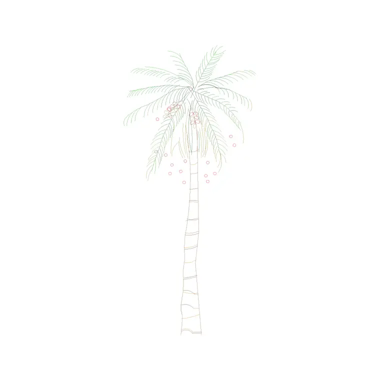 Palm Tree Front Ele (2) DWG CAD block thumbnail — trees & plants drawing