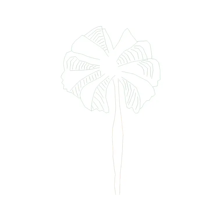 Palm Tree Front Ele (6) DWG CAD block thumbnail — trees & plants drawing