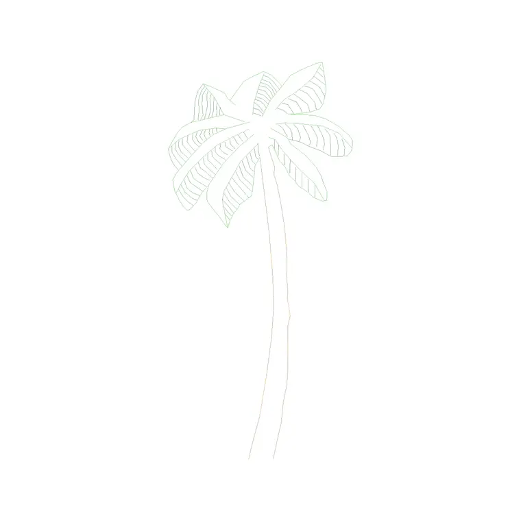 Palm Tree Front Ele (9) DWG CAD block thumbnail — trees & plants drawing