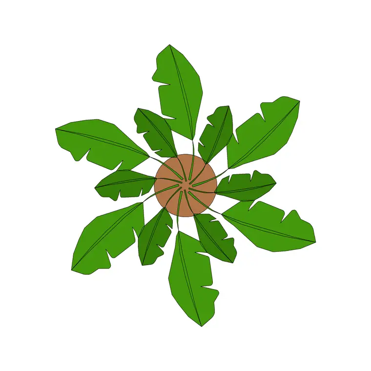 Palm DWG CAD block thumbnail — trees & plants drawing