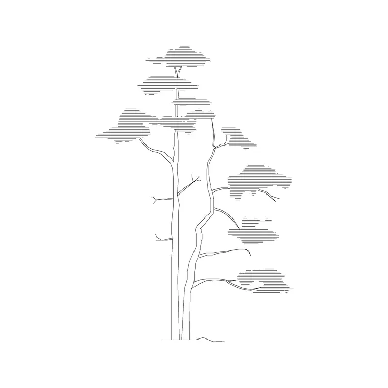 Pine Elevation 1 DWG CAD block thumbnail — trees & plants drawing