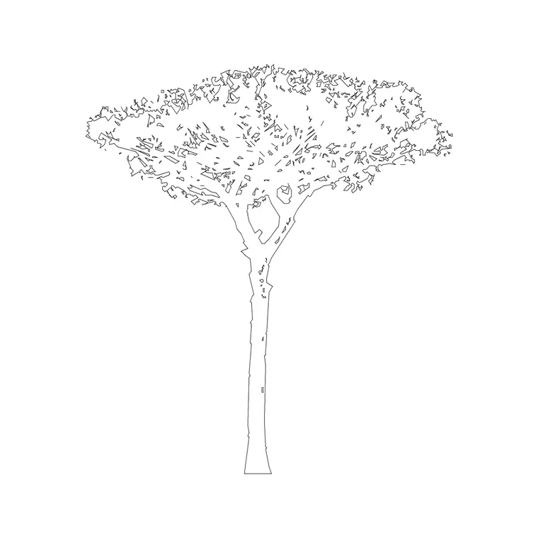Pine Elevation 3 DWG CAD block thumbnail — trees & plants drawing