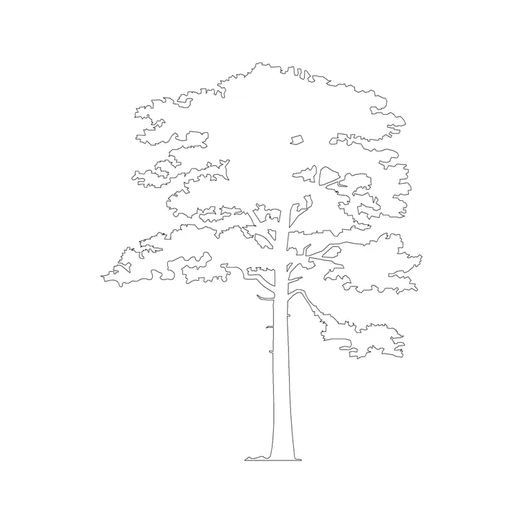 Pine Tree Ele (2) DWG CAD block thumbnail — trees & plants drawing