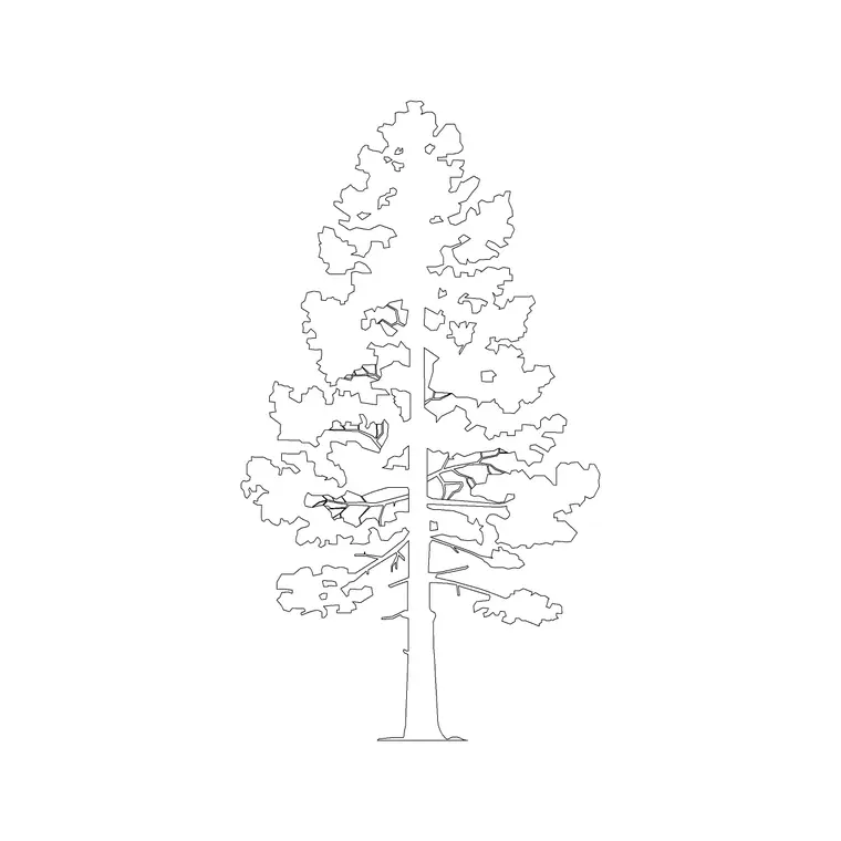 Pine Tree Ele (3) DWG CAD block thumbnail — trees & plants drawing