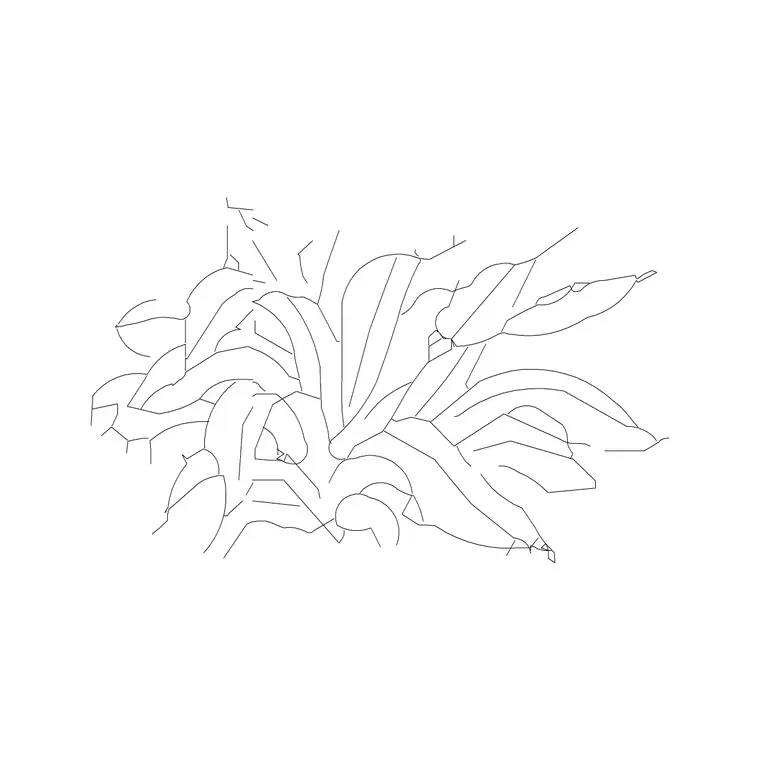 Plant 002 DWG CAD block thumbnail — trees & plants drawing