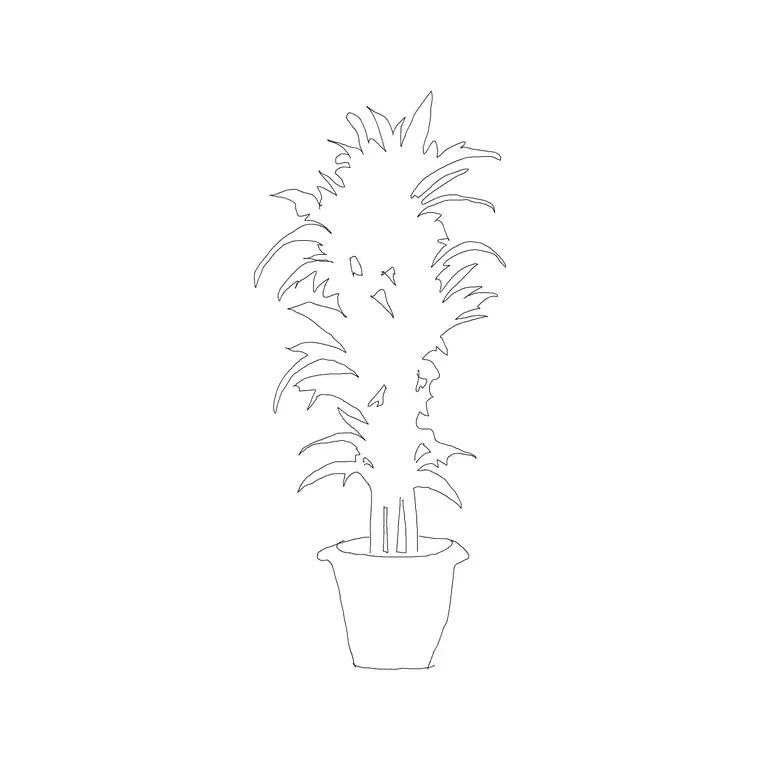 Plant 006 DWG CAD block thumbnail — trees & plants drawing