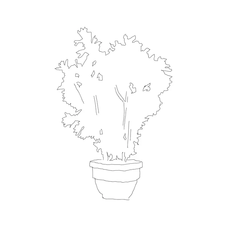 Plant 016 DWG CAD block thumbnail — trees & plants drawing