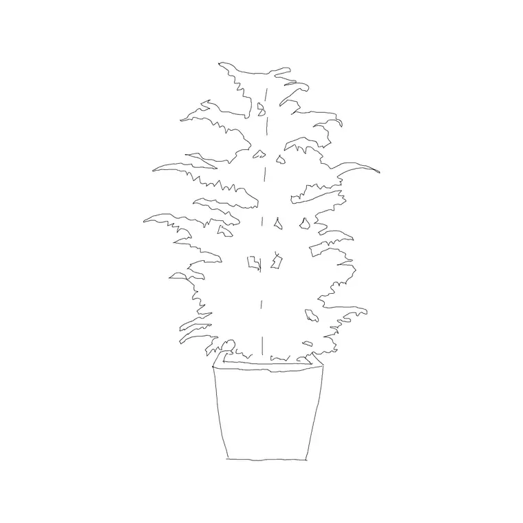 Plant 019 DWG CAD block thumbnail — trees & plants drawing