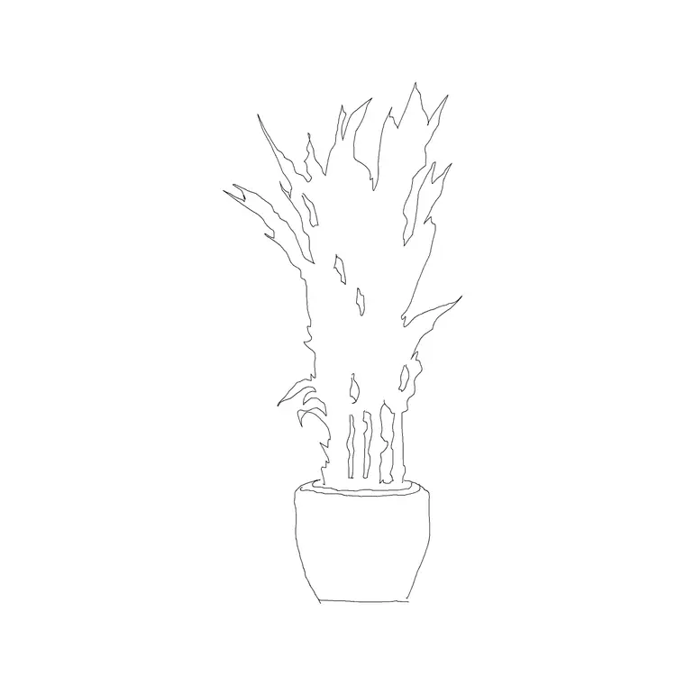Plant 021 DWG CAD block thumbnail — trees & plants drawing