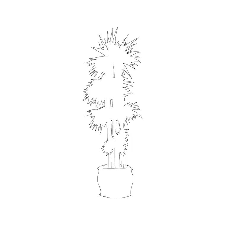 Plant 024 DWG CAD block thumbnail — trees & plants drawing