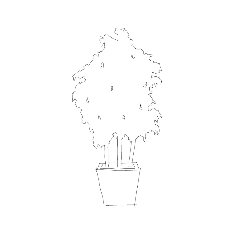 Plant 029 DWG CAD block thumbnail — trees & plants drawing