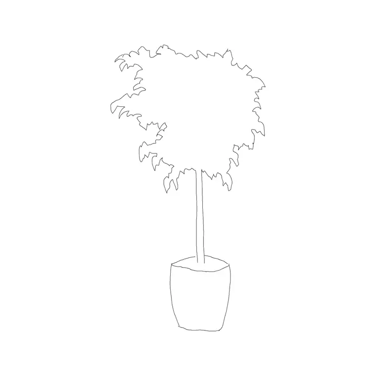 Plant 030 DWG CAD block thumbnail — trees & plants drawing