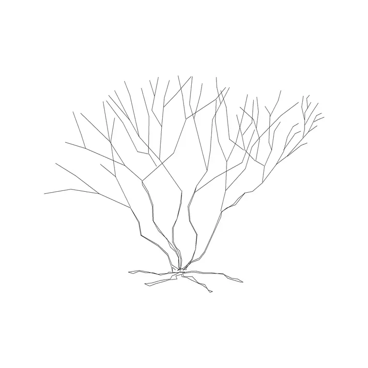Plant 038 DWG CAD block thumbnail — trees & plants drawing