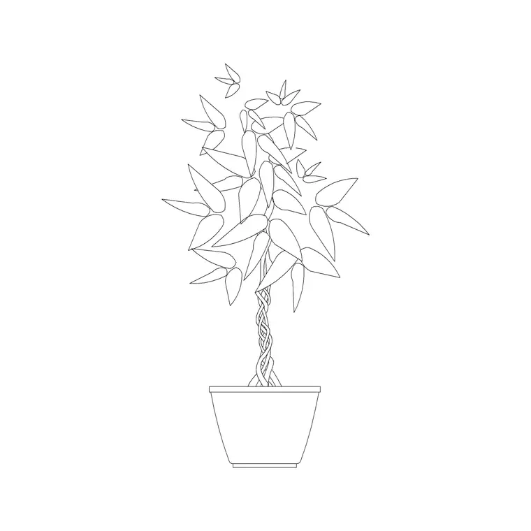 Plant With Low Foliage DWG CAD block thumbnail — accessories drawing