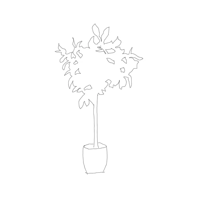 Plant011 DWG CAD block thumbnail — trees & plants drawing
