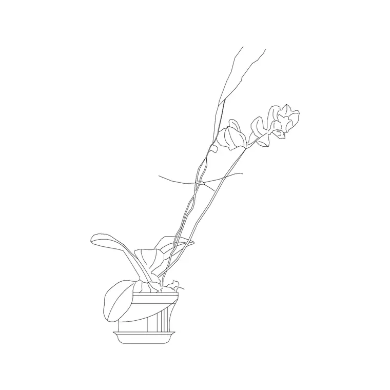 Planter 5 DWG CAD block thumbnail — accessories drawing