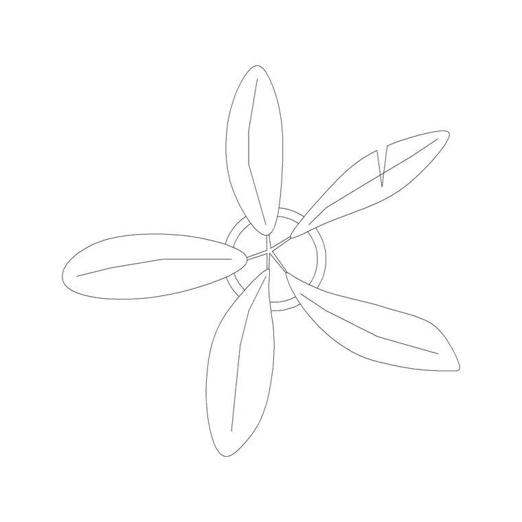 Plants Plan (3) DWG CAD block thumbnail — trees & plants drawing