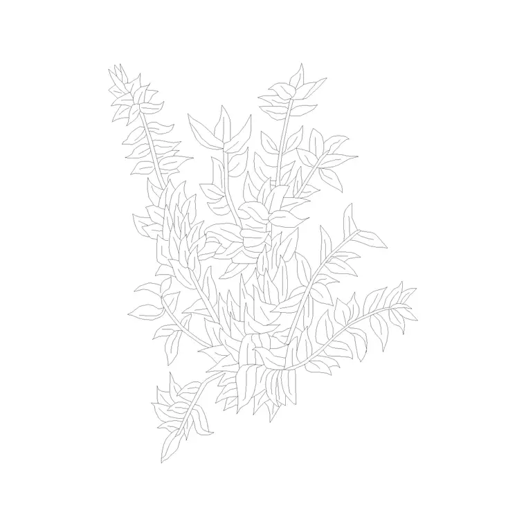 Plants Plan (7) DWG CAD block thumbnail — trees & plants drawing