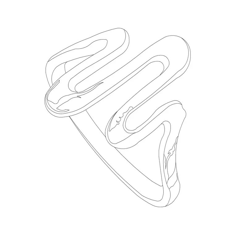 Ring DWG CAD block thumbnail — accessories drawing