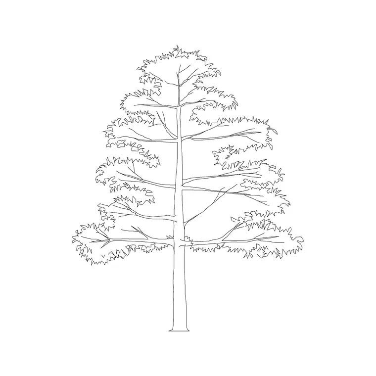 Semal DWG CAD block thumbnail — trees & plants drawing