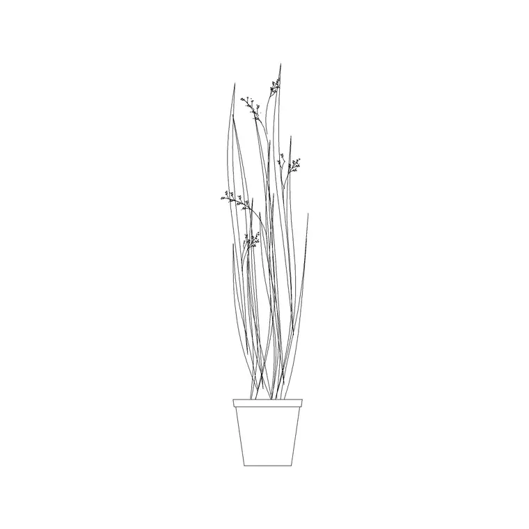 Shrub E19 DWG CAD block thumbnail — trees & plants drawing