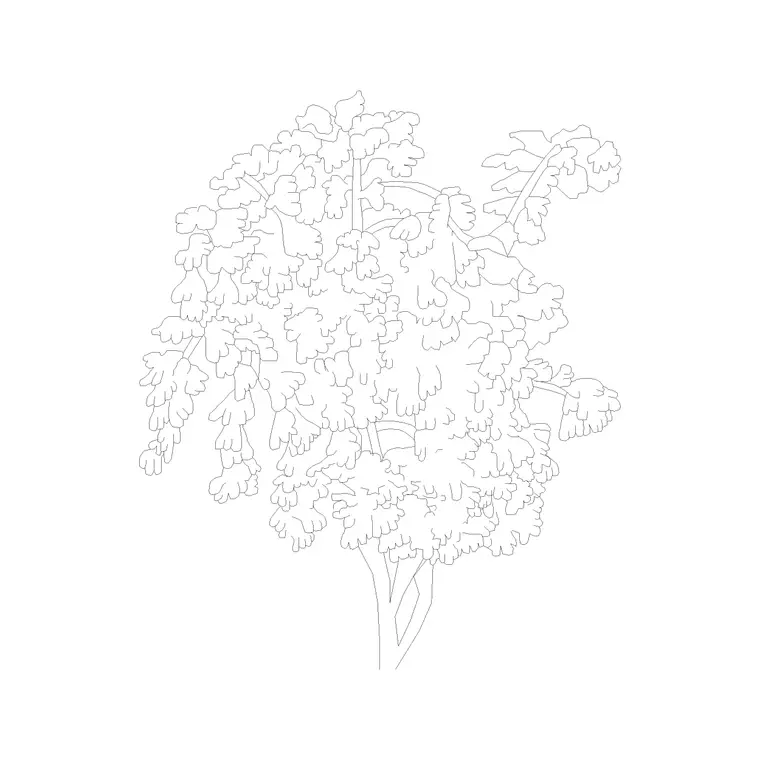 Shrubs (14) DWG CAD block thumbnail — trees & plants drawing