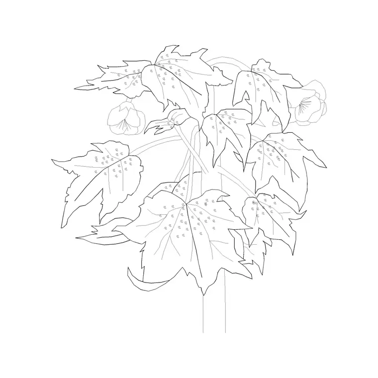 Shrubs (21) DWG CAD block thumbnail — trees & plants drawing