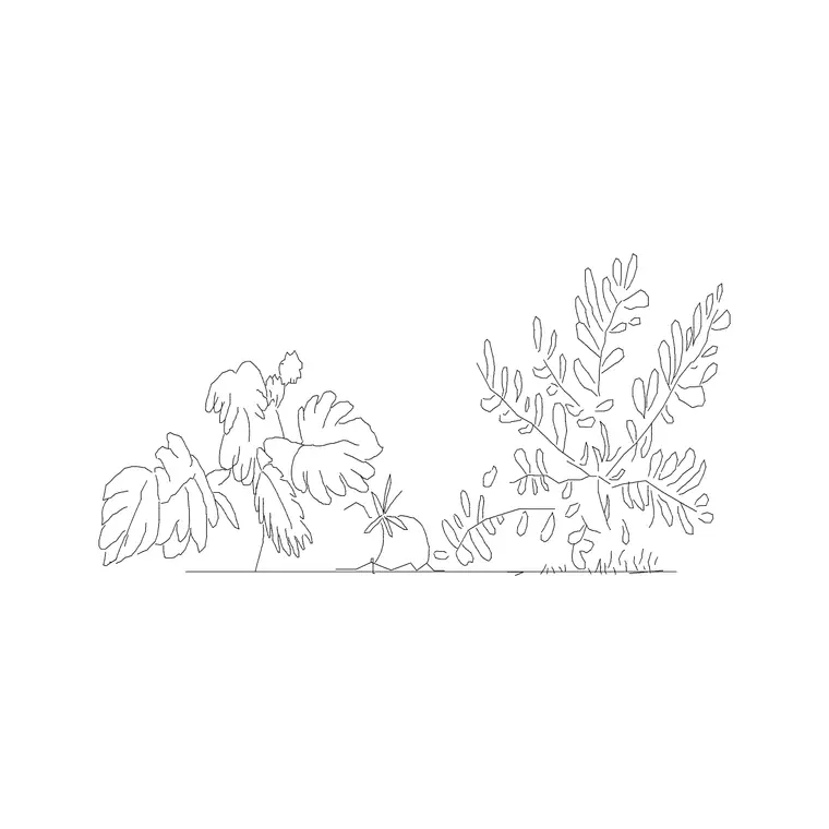 Shrubs Ele 1 DWG CAD block thumbnail — trees & plants drawing