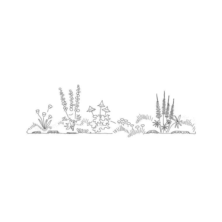 Shrubs Ele 16 DWG CAD block thumbnail — trees & plants drawing