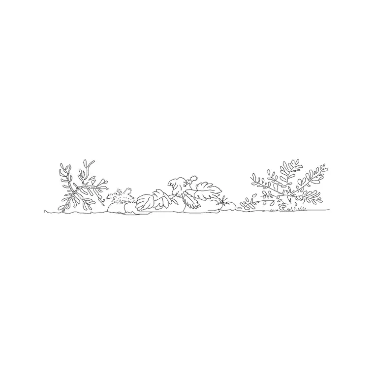 Shrubs Ele 17 DWG CAD block thumbnail — trees & plants drawing