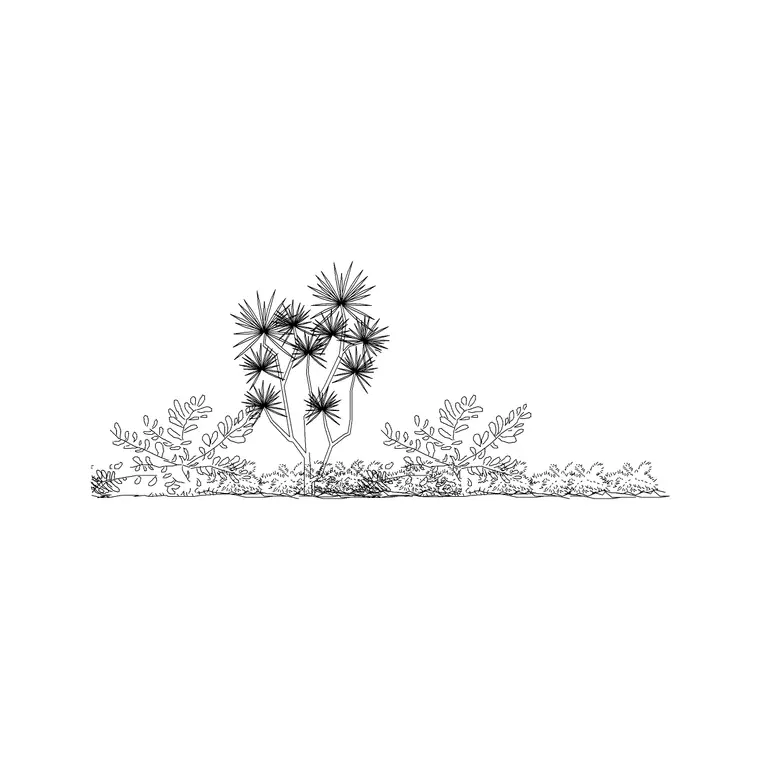 Shrubs Ele 18 DWG CAD block thumbnail — trees & plants drawing