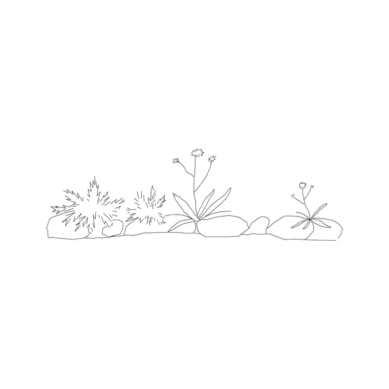 Shrubs Ele 20 DWG CAD block thumbnail — trees & plants drawing