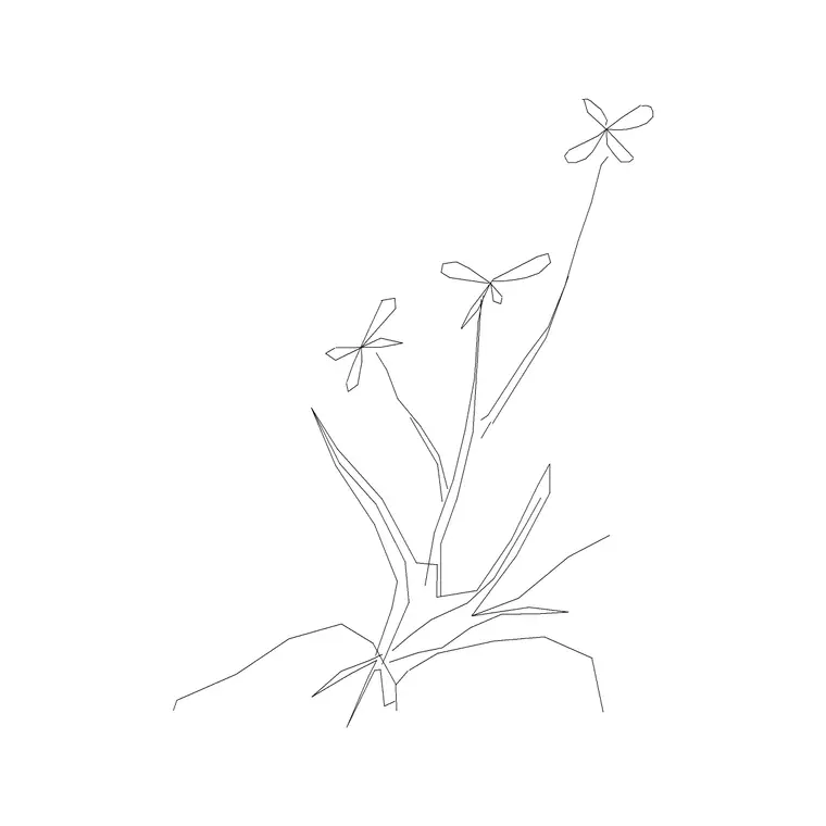Shrubs Ele 23 DWG CAD block thumbnail — trees & plants drawing