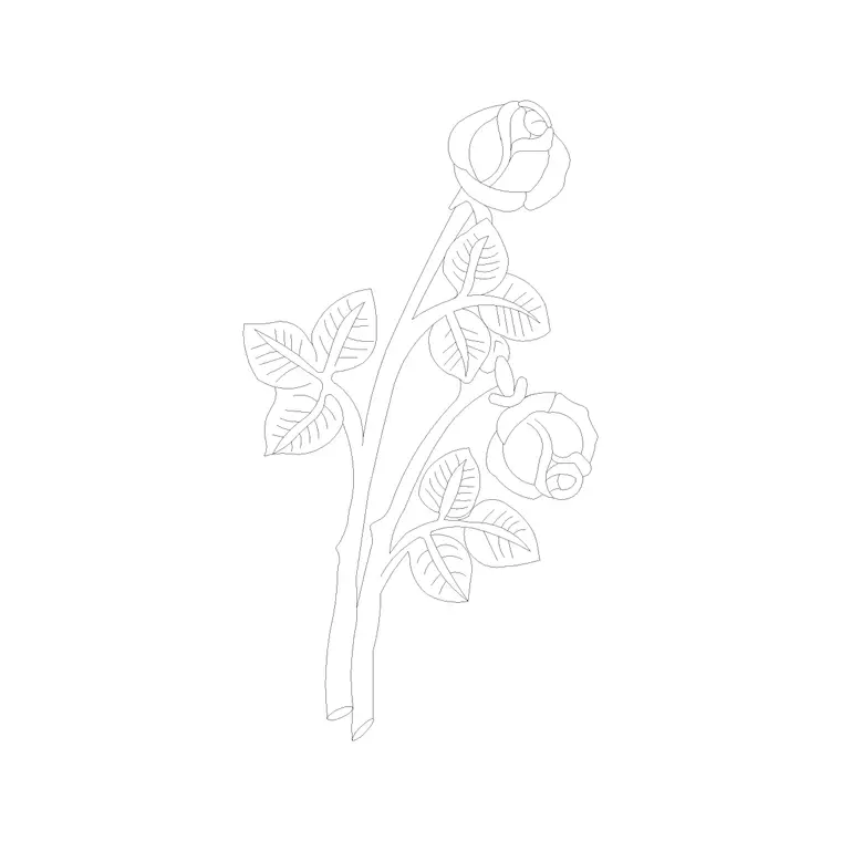 Shrubs Flower DWG CAD block thumbnail — trees & plants drawing