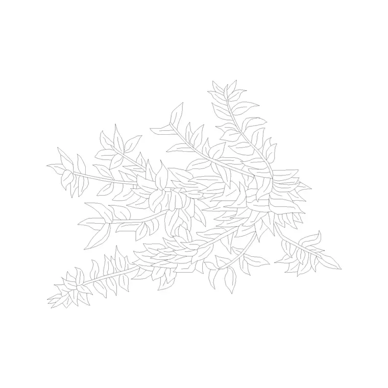Shrubs Ground DWG CAD block thumbnail — trees & plants drawing