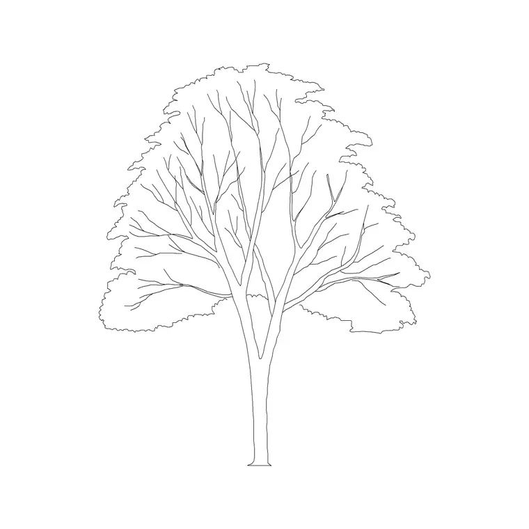 Siris DWG CAD block thumbnail — trees & plants drawing