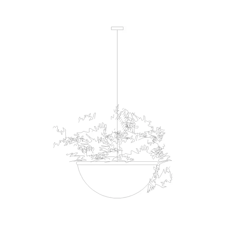 Suspended Plant DWG CAD block thumbnail — trees & plants drawing