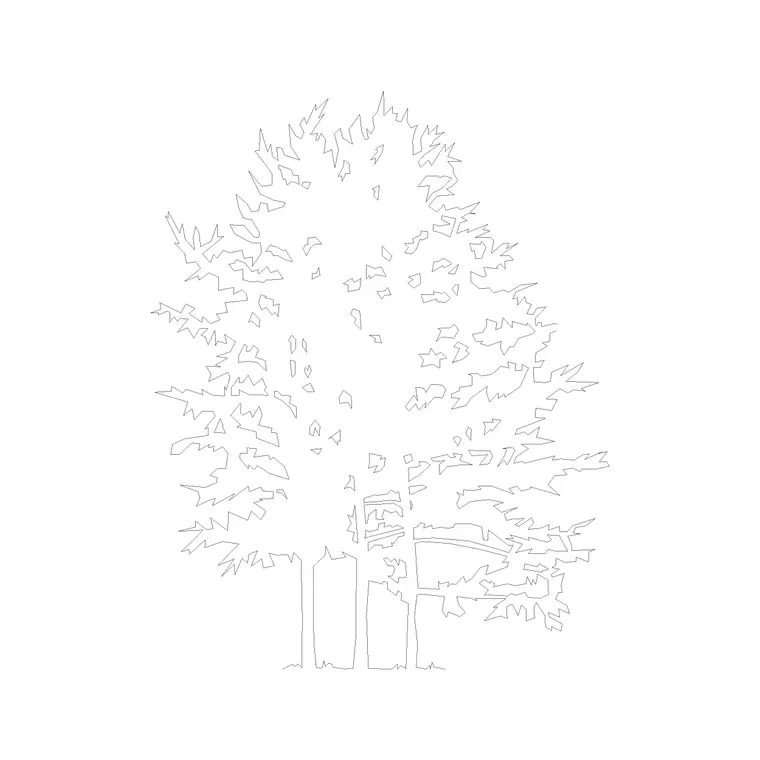 Tree Elevation (15) DWG CAD block thumbnail — trees & plants drawing