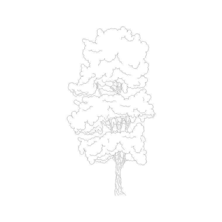 Tree Elevation (16) DWG CAD block thumbnail — trees & plants drawing
