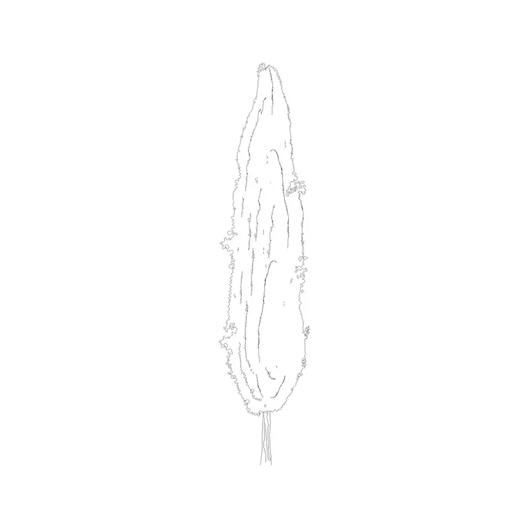 Tree Elevation (21) DWG CAD block thumbnail — trees & plants drawing