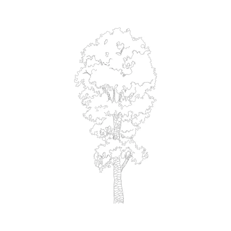 Tree Elevation (23) DWG CAD block thumbnail — trees & plants drawing