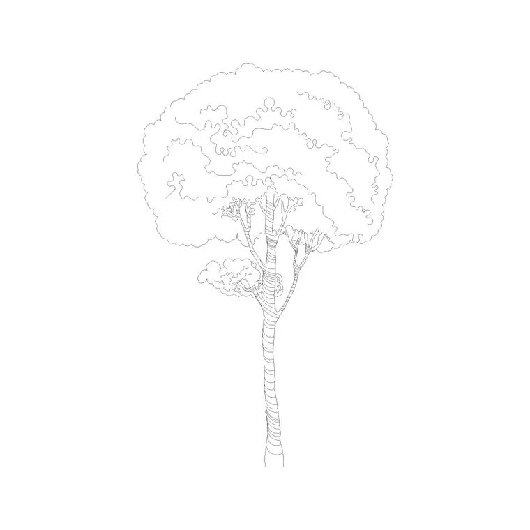 Tree Elevation (24) DWG CAD block thumbnail — trees & plants drawing
