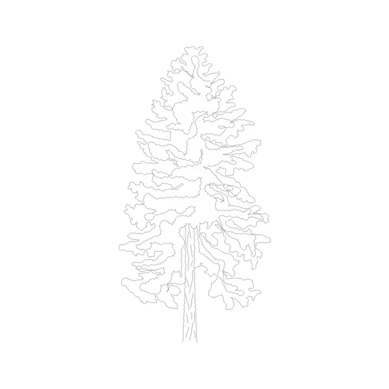 Tree Elevation (25) DWG CAD block thumbnail — trees & plants drawing