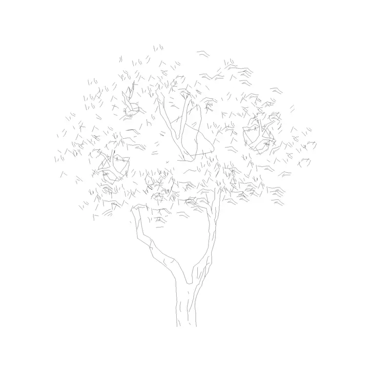 Tree Elevation (26) DWG CAD block thumbnail — trees & plants drawing