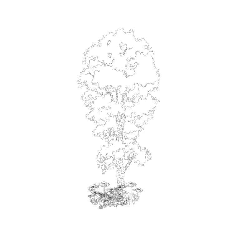 Tree Elevation (27) DWG CAD block thumbnail — trees & plants drawing