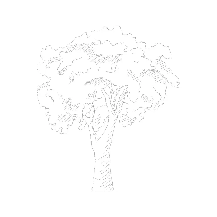 Tree Elevation (29) DWG CAD block thumbnail — trees & plants drawing