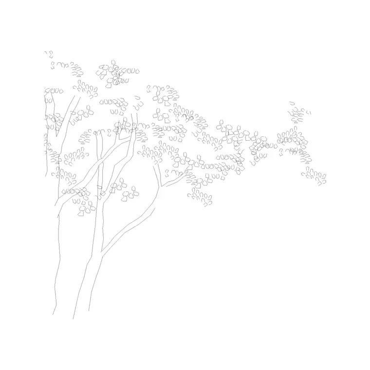 Tree Elevation (36) DWG CAD block thumbnail — trees & plants drawing