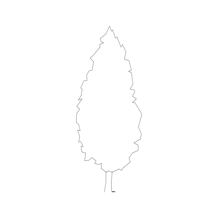Tree Elevation (46) DWG CAD block thumbnail — trees & plants drawing